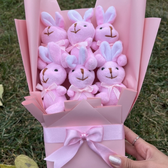 Pembe tavşan Set’i