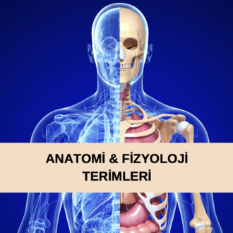 Hareket ve Fitness Terminolojisi