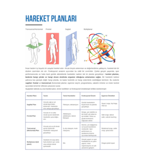 Anti-Fragile Body - Leg Protocol | 12 Haftalık Program - Başlangıç/Orta Seviye