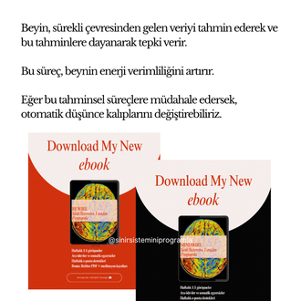 REWIRE & MINDWIRE & SOULWIRE + 30 Ek Çalışma