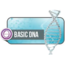 ThetaHealing Basic DNA
