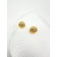 Lyra Shell Küpe - Gold