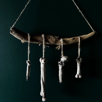 Bones Series - 2