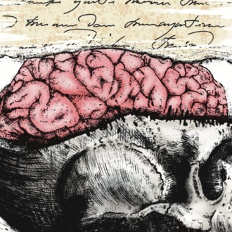Inside The Head