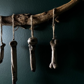 Bones Series - 2