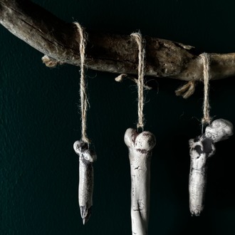 Bones Series - 2