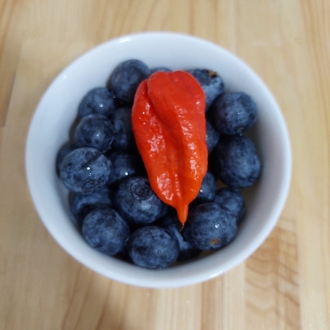 Ghost Pepper & Yaban mersini