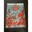 The Sun (Tarot)