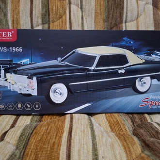 WSTER WS-1966 kablosuz araç hoparlörü
