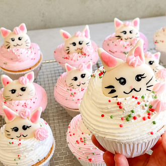 Cupcake Eğitim Paketi