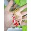 Yılbaşı Anahtarlıkları 