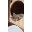 MODERN CAT HOUSE