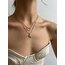 Heart Shape & Sea Star Seçmeli 18k Gold Pl Premium Çelik Kolyeler