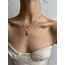 Heart Shape & Sea Star Seçmeli 18k Gold Pl Premium Çelik Kolyeler