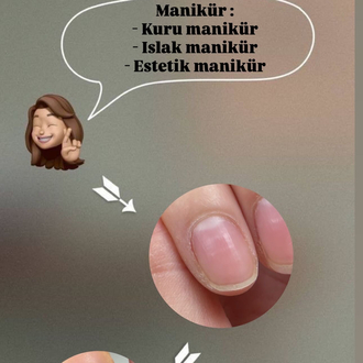 Pro Online eğitim