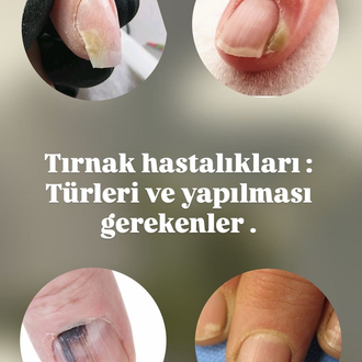 Pro Online eğitim
