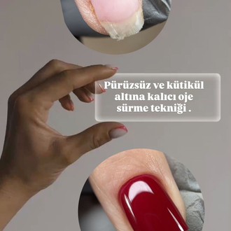 Pro Online eğitim