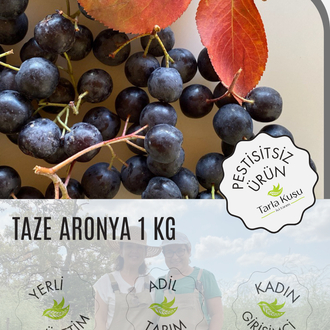 500 gr Dalından Taze İlaçsız Tarla Kuşu Aronyası
