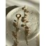 Pearl Ivy Earrings