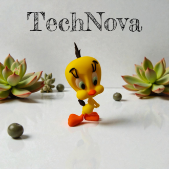 Tweety – Sevimli ve Minimalist Dekoratif Figür