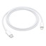 USB-C - Lightning Kablosu (1 m)