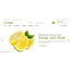 Opencart Organik Food Gıda, Organik Gıda, Sebze Teması