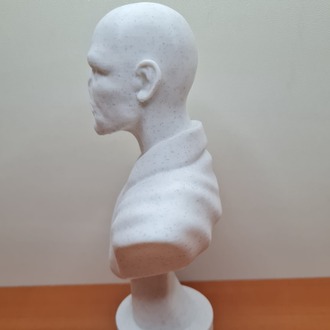 Harry Potter Voldemort Büstü