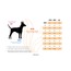 Harfli Gryffindor House Kazak