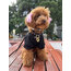 Tokyo Paw Co Kedi Köpek Charmlı Kolye - Siyah Köpek ve Kalpler