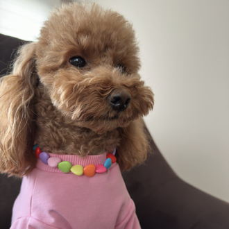 Kedi Köpek Renkli Kalpli Bonibon Kolye