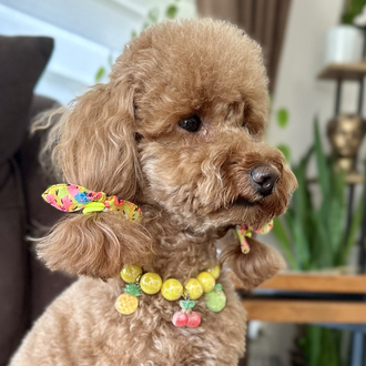 Kedi Köpek Boncuklu Kolye Parlak Sarı