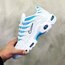 Nike Air Max Plus Tn White/Blue