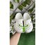 Crocs Beyaz 