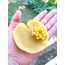 Lotus çiçeği mum