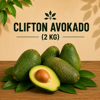2KG AVOKADO (Clifton)