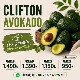 3KG AVOKADO (Clifton)