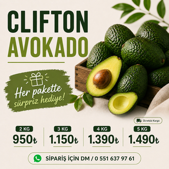 5KG AVOKADO (Clifton)
