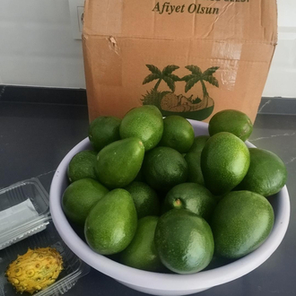 2KG AVOKADO (Clifton)