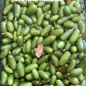 BABY AVOKADO (500gr)