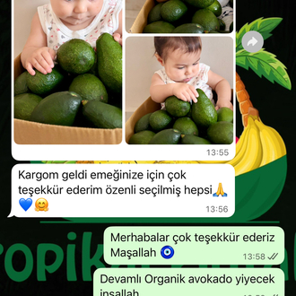 3KG AVOKADO (Clifton)