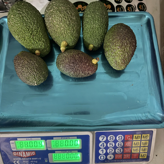 Avokado / Has / 1 kg
