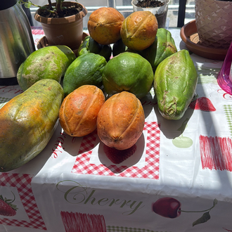 Papaya / 1 kg