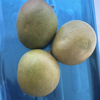 Mango