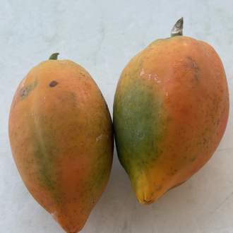 Papaya / 1 kg