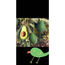 avokado(tane)200gr+