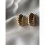 Gold istiridye desen küpe