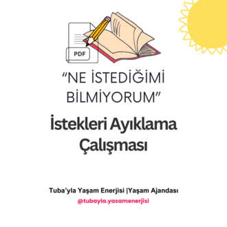 "Ne İstediğimi Bilmiyorum" İstekleri Ayıklama Çalışması