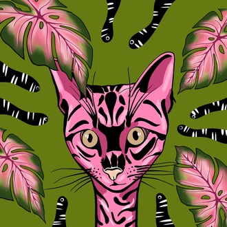 Weirdest Cat in Wonderland