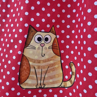 Şirin Kedi Puantiyede