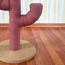Kedi Tırmalama Tahtası Kaktüs - Pembe